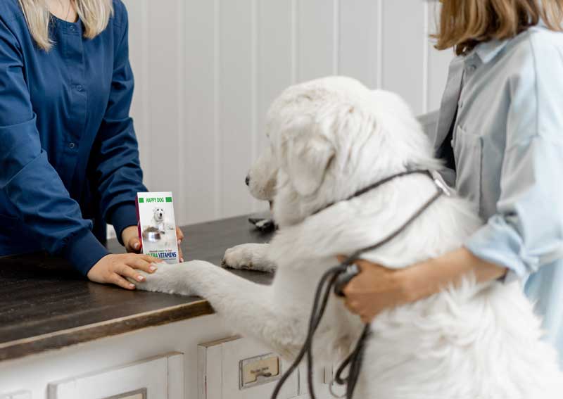 Carousel Slide 1: Order your pet's medications or food online!