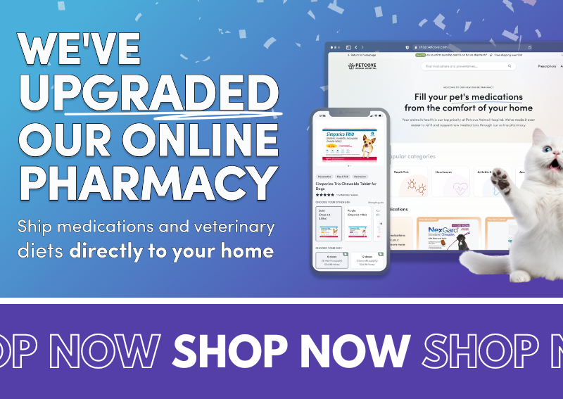 Carousel Slide 5: Shop our new and improved online pharmacy!